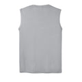 Silver - ST352 - BACK